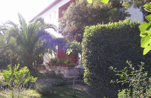 Petrcane Apartment | Close to the beaches with sufficient comfort