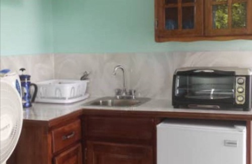 Montego Bay Apartment | Cloud 9 Suite on roof deck, Jacuzzi, AC, Hot Water, Wi-Fi, Herbal Detox