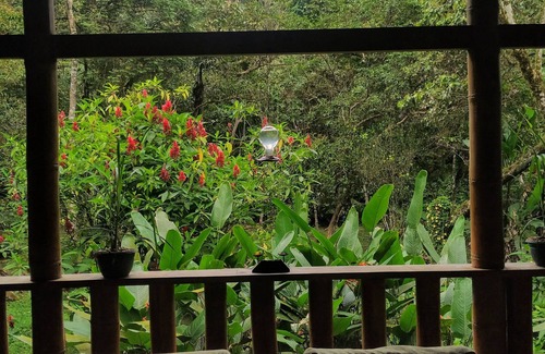 Mindo House | Cloud Forest rustic & cozy cabin