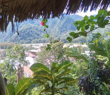 Kimiri House | Cloud forest SAN CARLOS