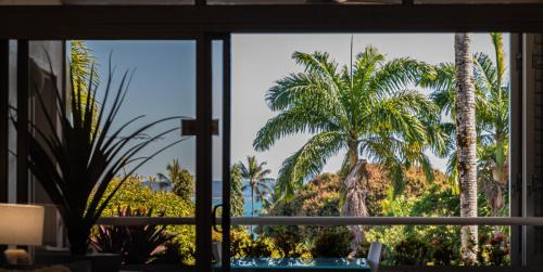 Port Douglas Apartment | Club Tropical Resort - Official Onsite Reception & Check In