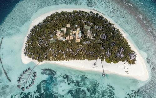 Dhunikolhu Resort | Coco Palm Dhuni Kolhu