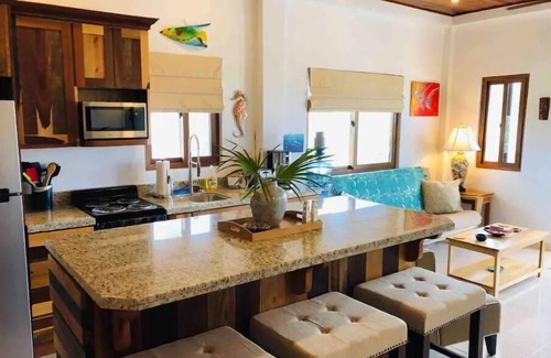 Caye Caulker Apartment | Coconut Palm Unit: Upscale condo with Caribbean Sea viewsn