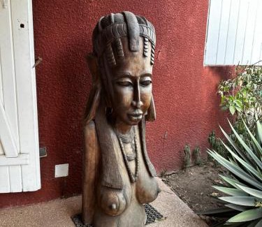 Saly Niakhniakhal Apartment | COCOTIER CarthagO