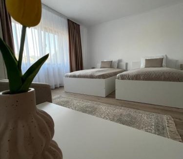 Curatele House | Colț de Apuseni