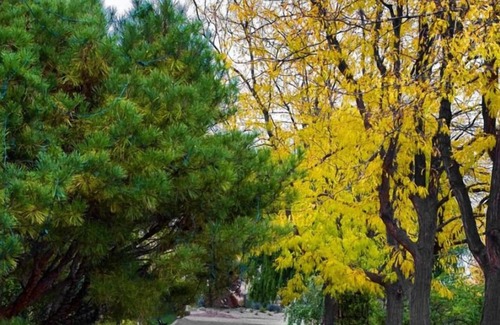 Southeast Boise House | Comfort and Convenience! 3 Relaxing Units, Pool, Free Breakfast, Pets Allowed