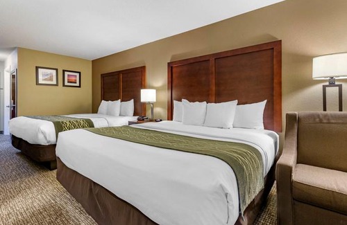 Apex Hotel | Comfort Inn Apex