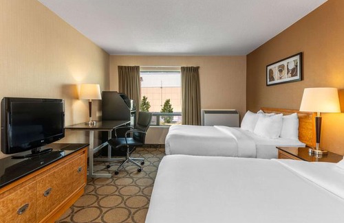 Kingston Hotel | Comfort Inn Highway 401