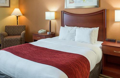 Southern Estates Hotel | Comfort Inn Petersburg Fort Lee Area
