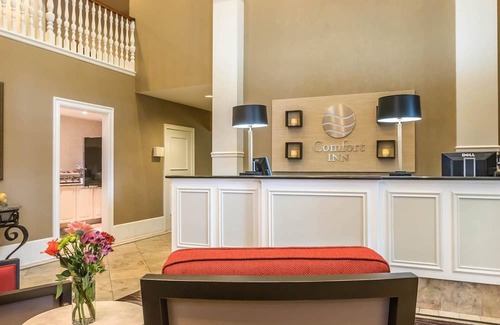 Plainwell Hotel | Comfort Inn Plainwell