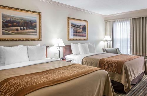 Plainwell Hotel | Comfort Inn Plainwell