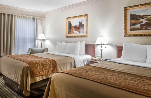 Plainwell Hotel | Comfort Inn Plainwell