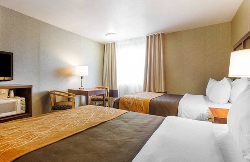 Moreno Valley Hotel | Comfort Inn & Suites Moreno Valley near March Air Reserve Base