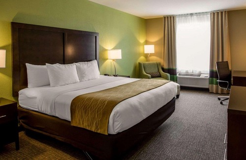 Sylva Hotel | Comfort Inn Sylva - Cullowhee