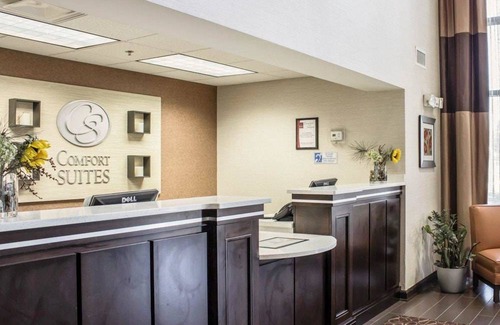 Cary Hotel | Comfort Suites Regency Park