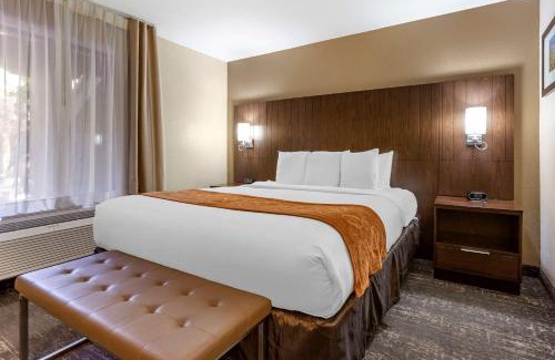 Tucson Hotel | Comfort Suites Tucson near Sabino Canyon