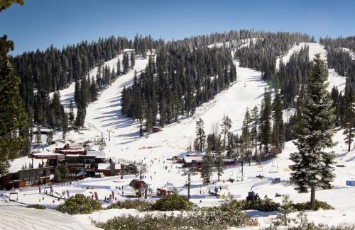Truckee Apartment | Comfortable and Functional Gold Bend Condo