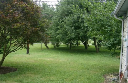 Harrods Creek Apartment | Comfortable Guest Suite close to the Lewis & Clark Bridge Trail