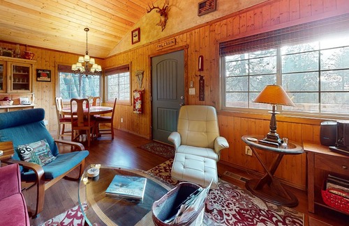 Cedarpines Park Cabin | Comforting dog-friendly mountain view cabin with gas fireplace, deck, & patio