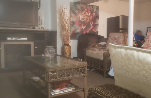 Edenwald Apartment | Comfy Basement Apartment Bronx