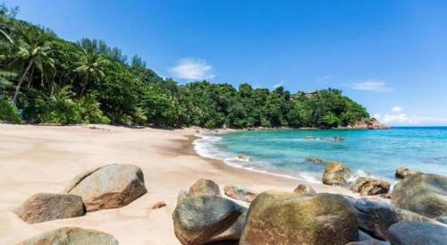 Patong Hotel | Comfy M.U.Den Patong Phuket