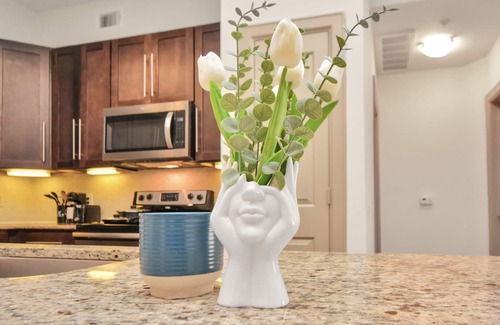 Astrodome Apartment | Commuter’s Dream Rental. Supper close to Downtown