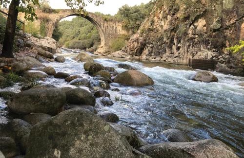 Madrigal de la Vera Other | Complejo Camping La Mata