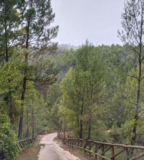 Yeste Other | Complejo Rural Rio Tus