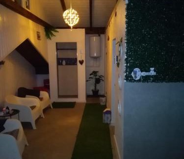 Boghis Other | Complex Turistic Dávid