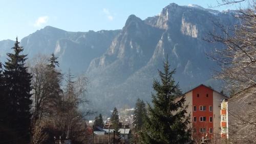 Busteni Hotel | Conac Bavaria
