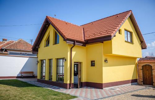 Dragus Villa | Conacul lui Radu