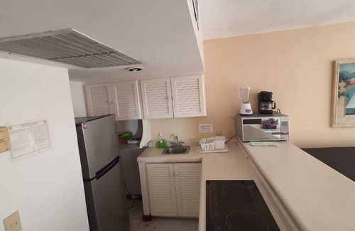 Ixtapa Apartment | Condominio 01 recamara Enna Inn Ixtapa