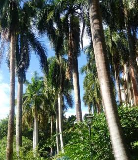 Ricaurte Apartment | Condominio Girardot Resort