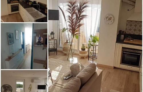 La Grande-Motte Apartment | confortable appartement T2