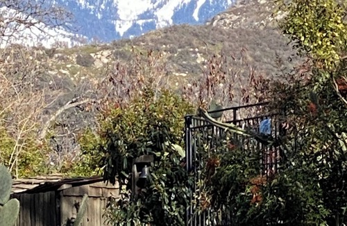 Three Rivers Cabin | Contemporarycabin inthe wilderness ofSequoiaNP Great stargazing.Pets Kiddos Free
