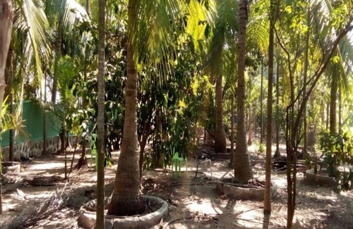 Nagaon Cottage | COOL & PLEASENT STAY IN NATUTRE @ DAKWE COTTAGE WITH DELICIOUS FOOD , NEAR BEACH