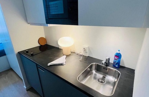 København NV Apartment | Copenhagen Studio with Double Bed and Kitchen