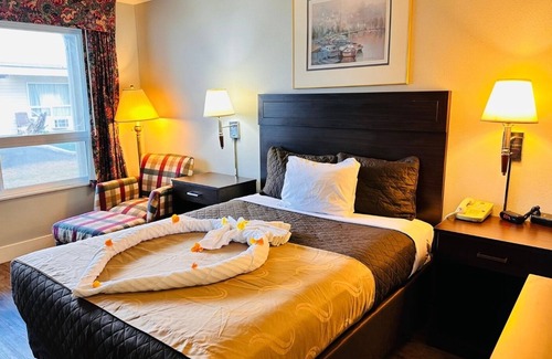 Ocean Shores Hotel | Coratel Inn & Suites By Jasper Ocean Shores - Standard 1 Queen Bed Non Smoking