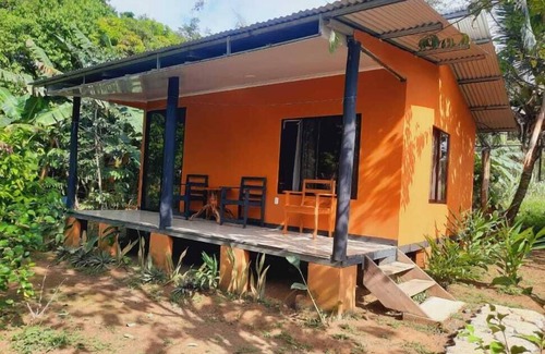 Los Planes Cabin | corcovado green parrot