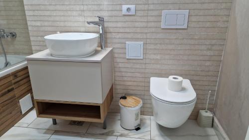 Tractorul Apartment | Coresi Grandis Residence 15