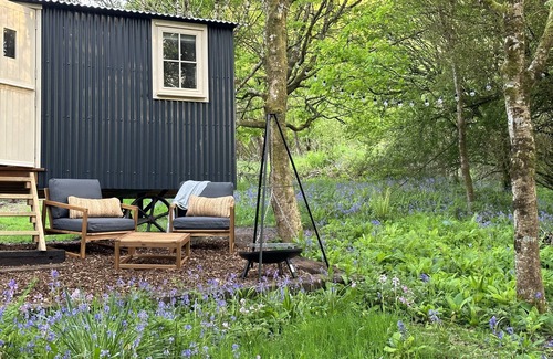 Lanivet Cabin | Cornwall Woodland Dog Friendly Shepherd's Hut