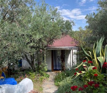 Lanjaron Other | Cortijo alhijra big yourte