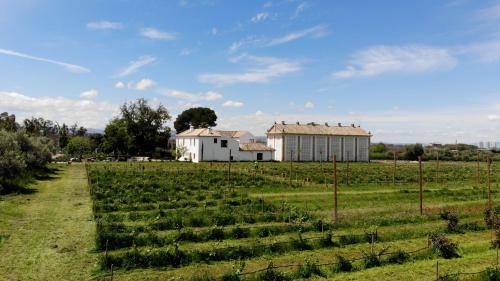 La Zubia House | Cortijo de la Seda