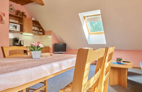 Starkov Villa | Cosy apartment in villa for 4 people with WIFI, pool, TV, patio and pets allowed