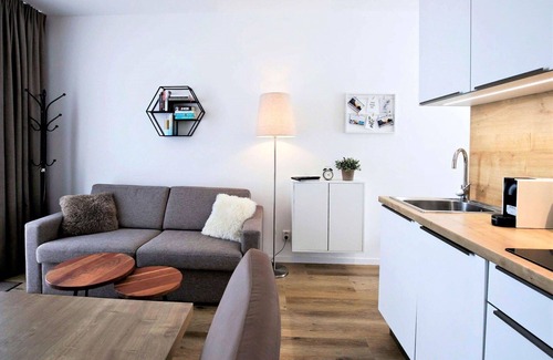 Lojzova Paseka Apartment | Cosy apartment for 2 guests with WIFI, TV, balcony and pets allowed