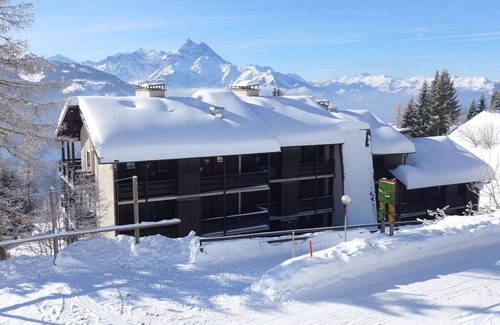 Gryon Apartment | Cosy apartment for 4 guests with WIFI, TV, balcony and pets allowed