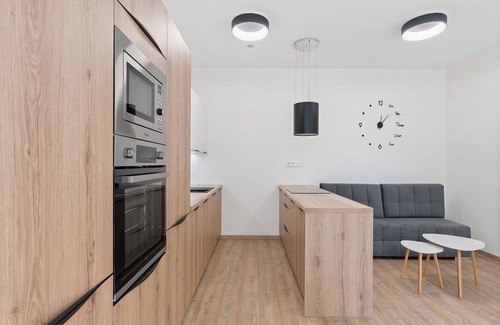 Janov nad Nisou Apartment | Cosy apartment for 3 guests with WIFI, TV and terrace