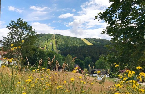 Harrachov Apartment | Cosy apartment for 12 guests with WIFI, TV, balcony, pets allowed and parking