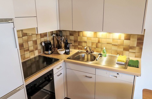 Schluein Apartment | Cosy apartment for 5 people with WIFI, TV, patio, pets allowed and panoramic view