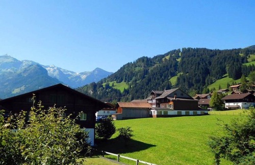 Lenk Apartment | Cosy apartment for 5 guests with WIFI, TV, balcony and pets allowed
